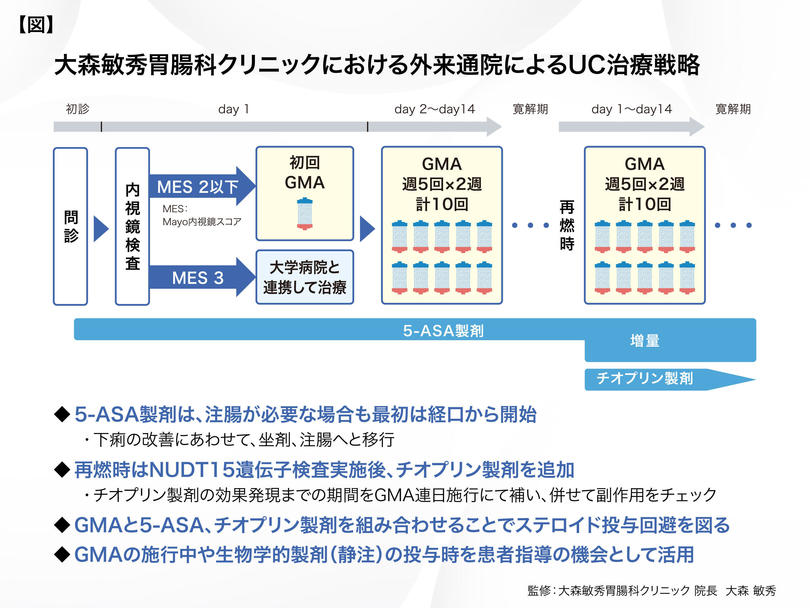 大森敏秀先生の図.jpg