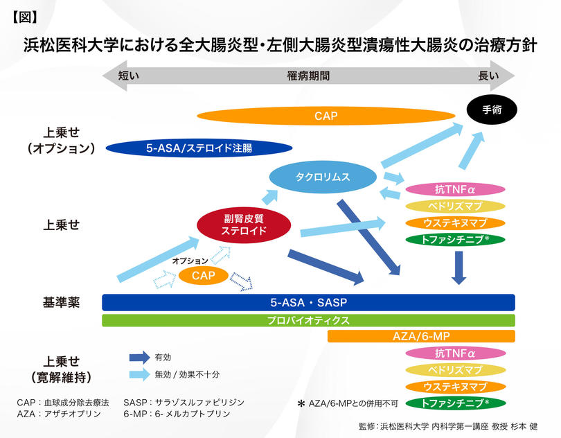 浜松医科大_杉本先生_図表.jpg